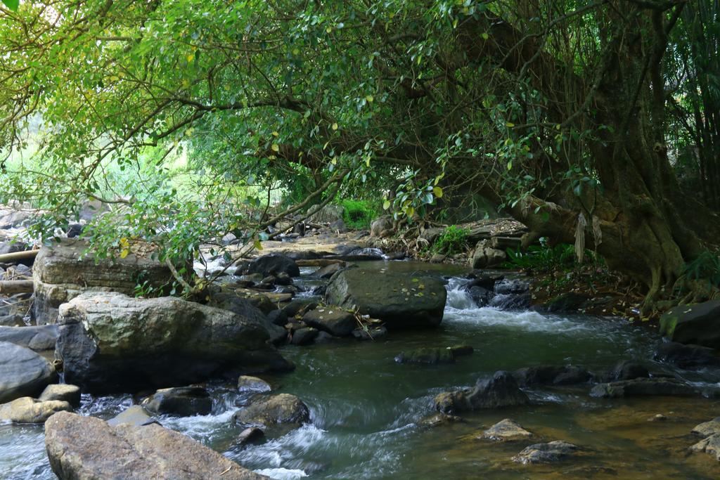 Nivahana Homestay Канди Экстерьер фото