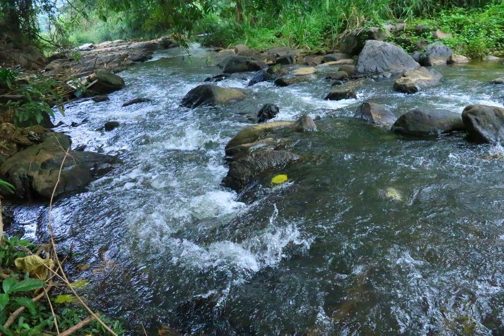 Nivahana Homestay Канди Экстерьер фото