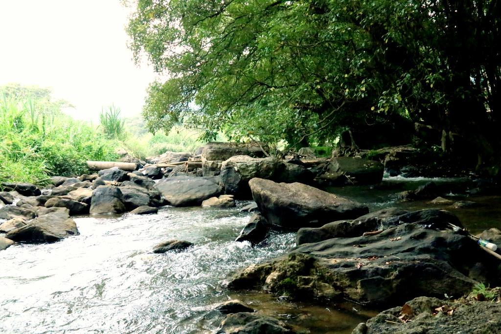 Nivahana Homestay Канди Экстерьер фото