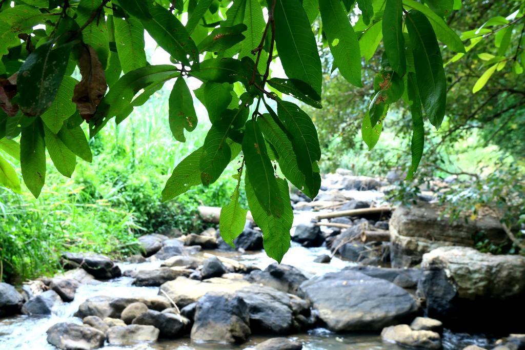 Nivahana Homestay Канди Экстерьер фото