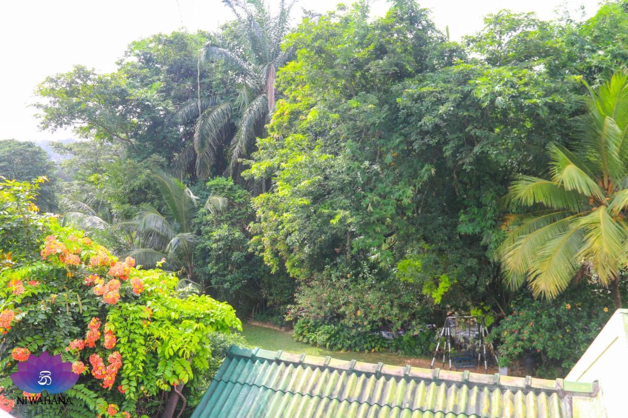 Nivahana Homestay Канди Экстерьер фото