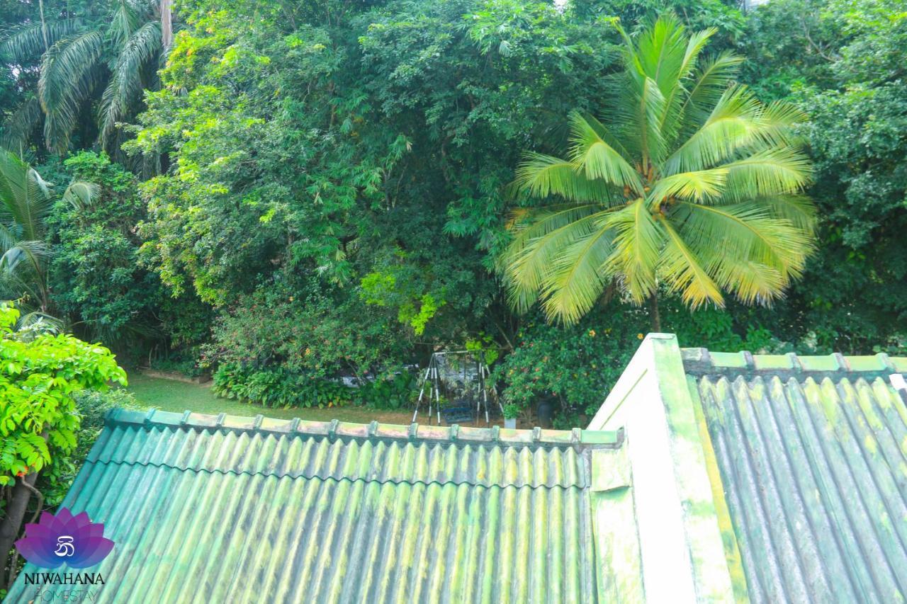 Nivahana Homestay Канди Экстерьер фото